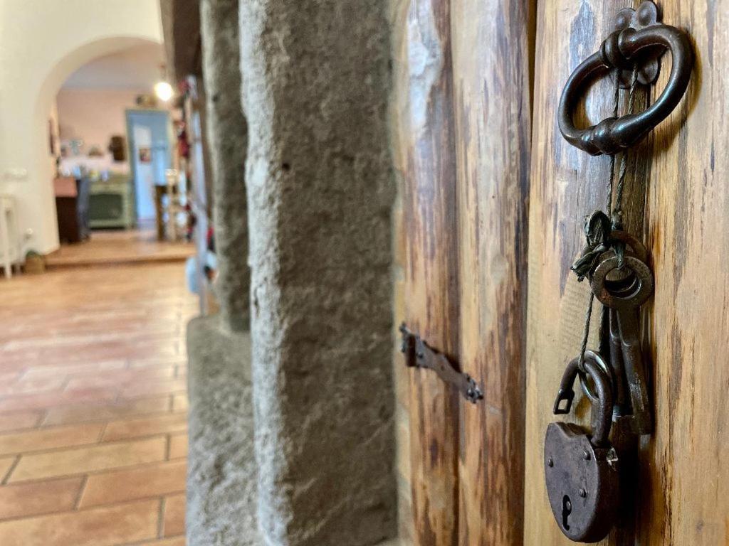 Il Sartore Vetralla Exteriör bild