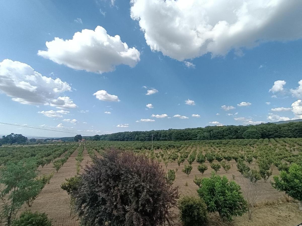 Il Sartore Vetralla Exteriör bild